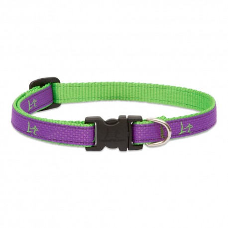 Collar 1/2" Hampton Purple - Envío Gratis