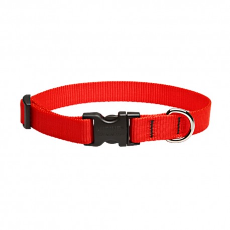 Collar 3/4" Red - Envío Gratis
