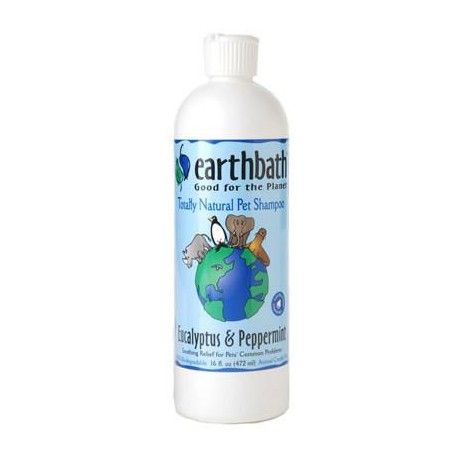 Shampoo Eucalipto & Hierbabuena - Envío Gratis