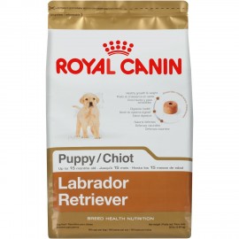 Labrador Retriever Puppy - Envío Gratis