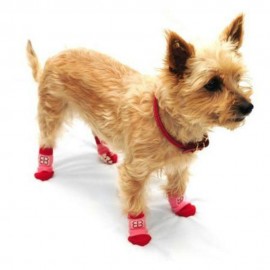 Calcetines para Perro Traction Control Socks Mediano - Envío Gratis