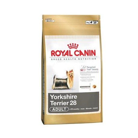 Yorkshire Terrier 28 - Envío Gratis