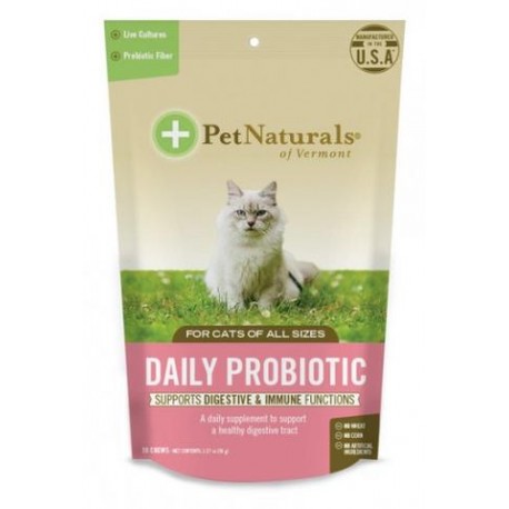 Daily Probiotic - Envío Gratis