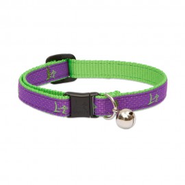 Collar con Cascabel 1/2" Hampton Purple - Envío Gratis