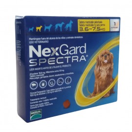 Nexgard Spectra - Envío Gratis