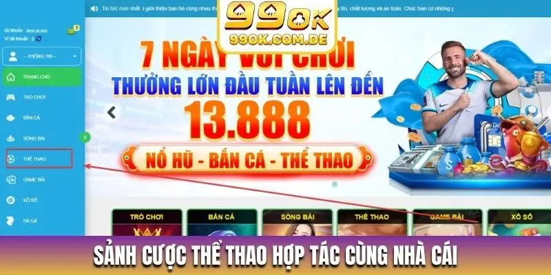 Sảnh cược thể thao hợp tác cùng nhà cái