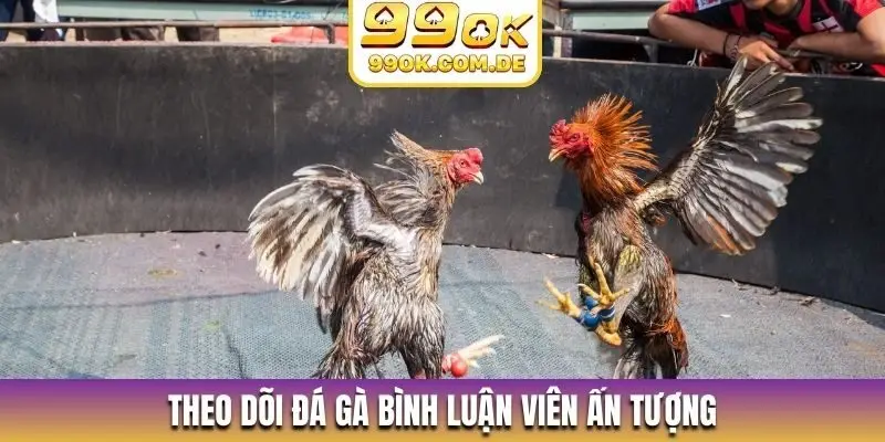 Theo dõi đá gà bình luận viên ấn tượng