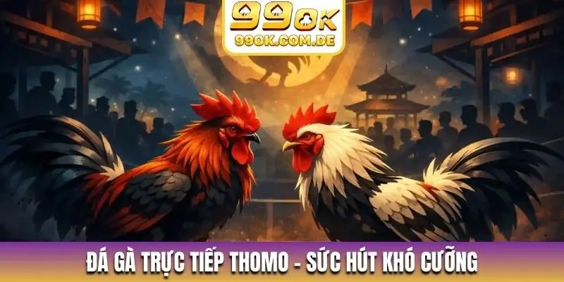 Đá gà trực tiếp Thomo