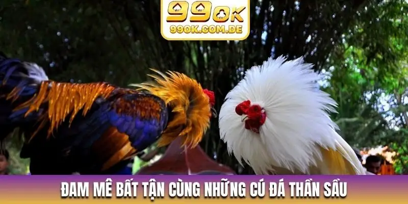 Đam mê bất tận cùng những cú đá thần sầu