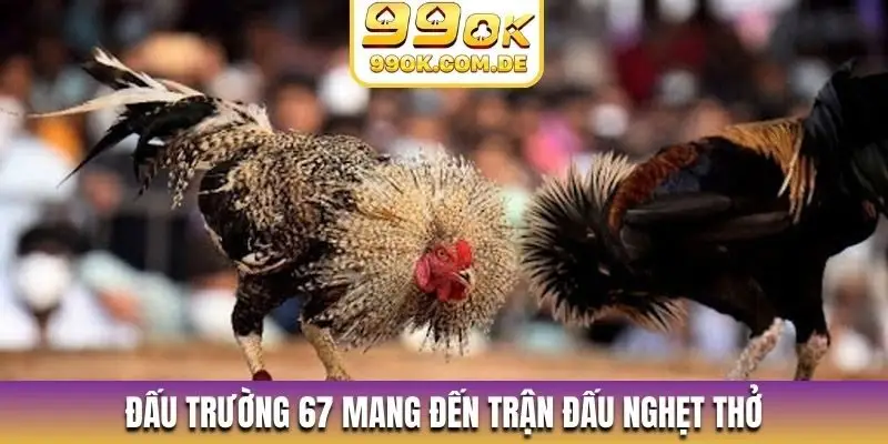 Đấu trường 67 mang đến trận đấu nghẹt thở