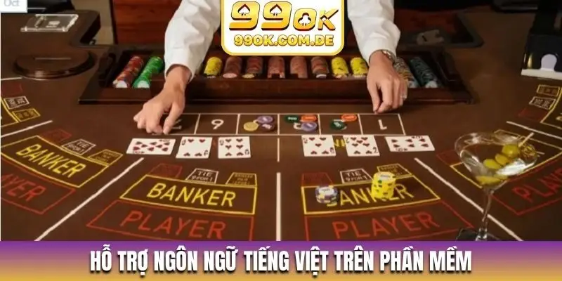 Hỗ trợ ngôn ngữ tiếng Việt trên phần mềm