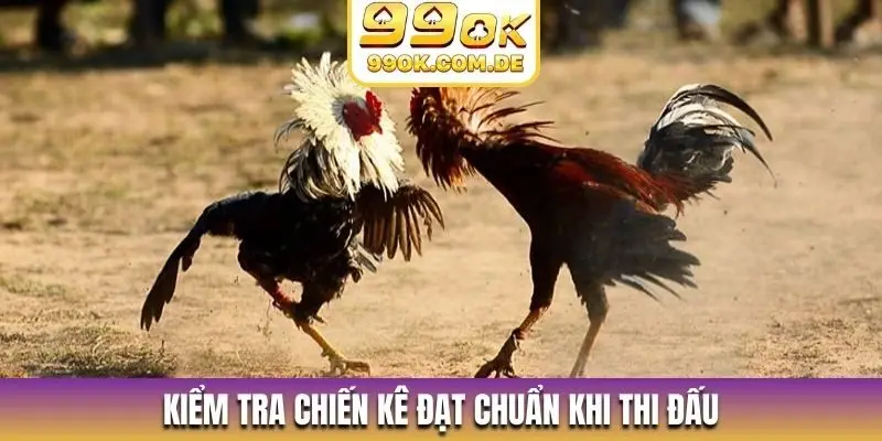 Kiểm tra chiến kê đạt chuẩn khi thi đấu