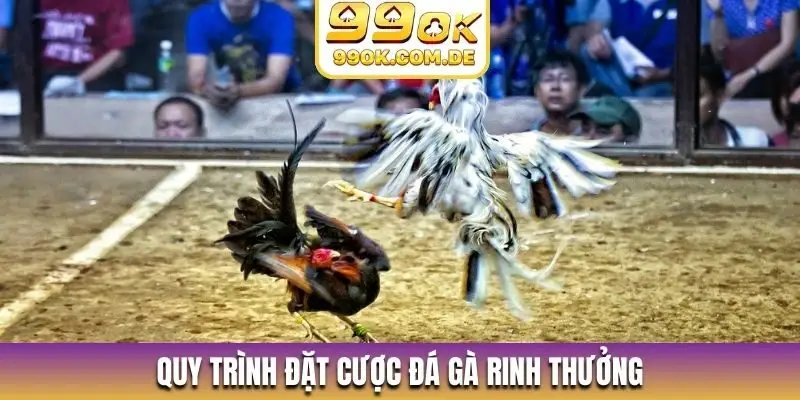 Quy trình đặt cược đá gà rinh thưởng