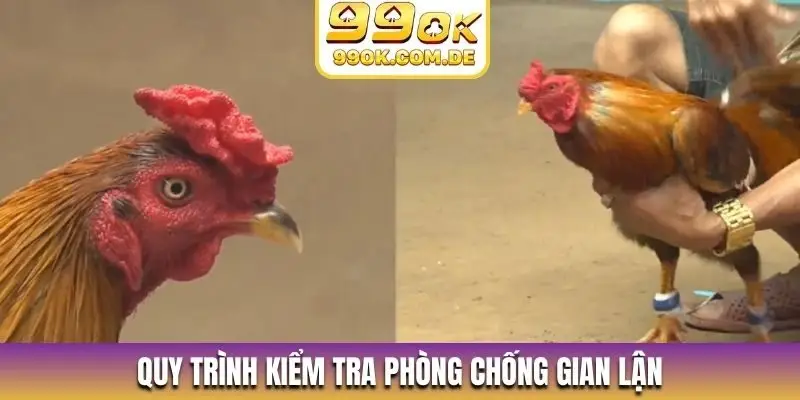 Quy trình kiểm tra phòng chống gian lận